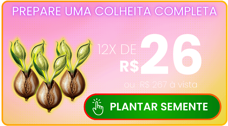 Oferenda Pequena